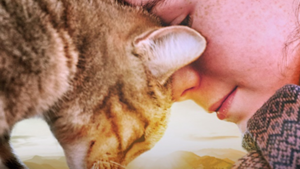 Vita da gatto trailer italiano film