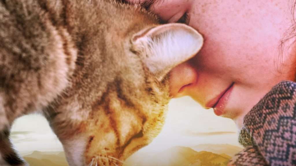 Vita da gatto film 2024 nuove clip
