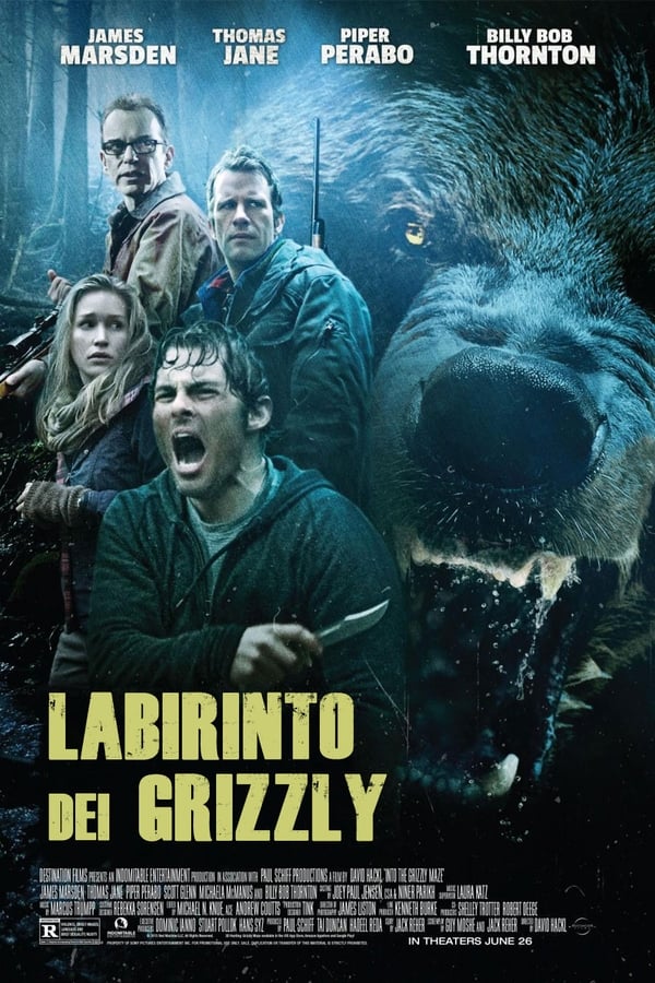 Labirinto dei Grizzly film cast trama trailer