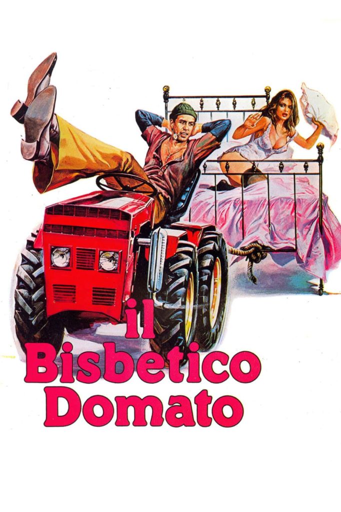 stasera in tv film oggi 9 marzo 2025 prima serata poster film Il Bisbetico Domato