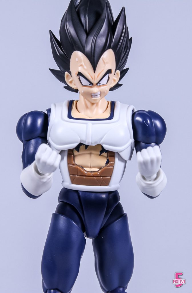 Vegeta sh figuarts Bandai