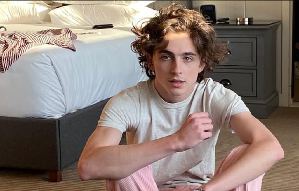 Timothée Chalamet sarà premiato ai David di Donatello 2025